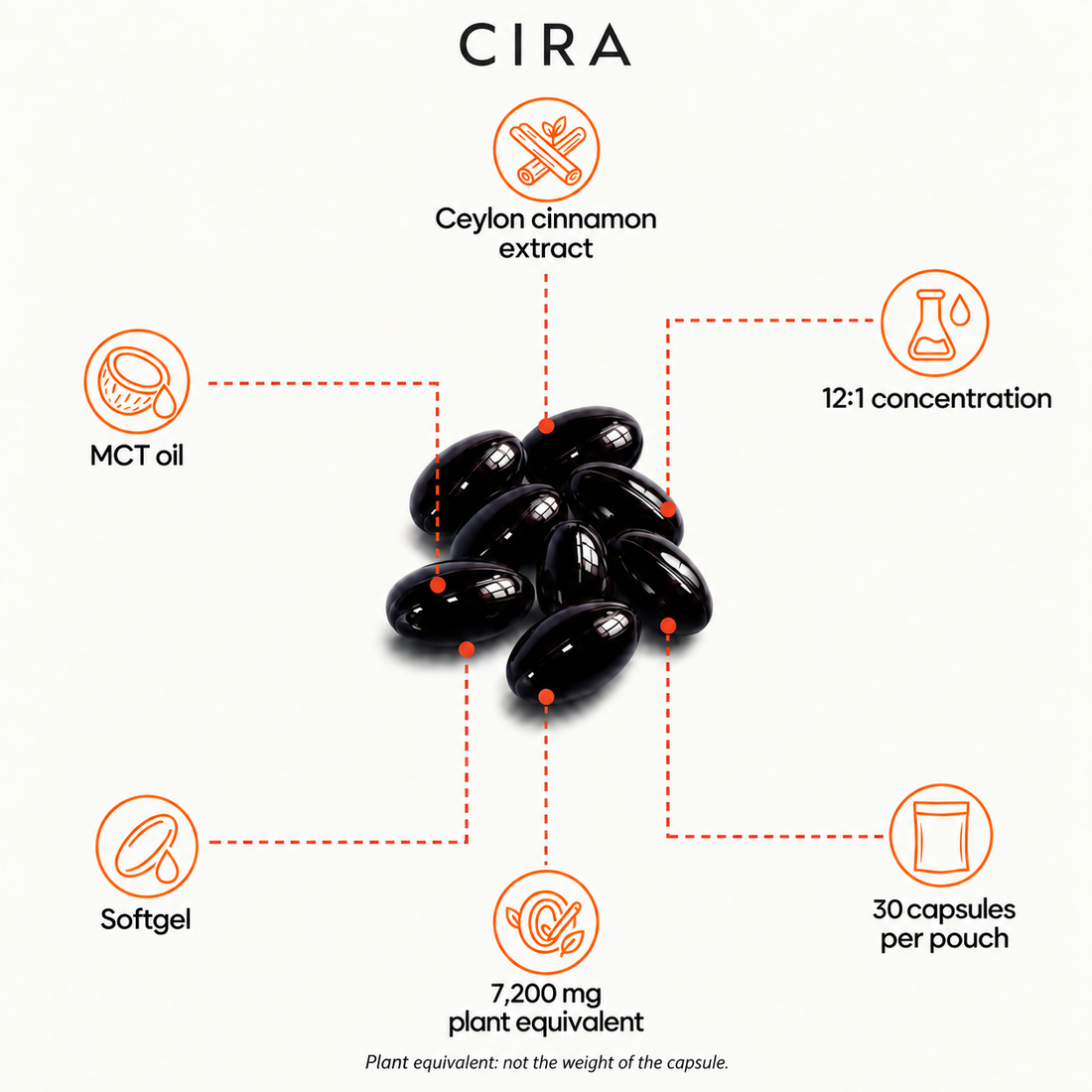 CIRA English transfer — 02-Cannelle-Ceylan — photo 3