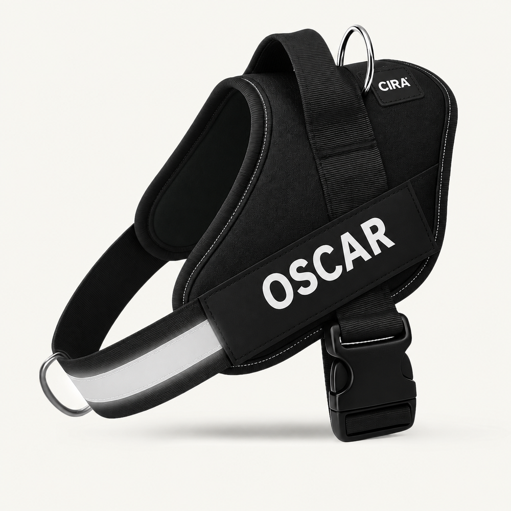 CIRA — CIRA personalized black dog harness — en-harness-1