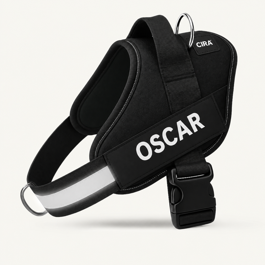 CIRA — CIRA personalized black dog harness — en-harness-1