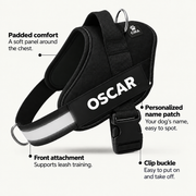 CIRA — Harness padding, name patch, front attachment and buckle — en-harness-2