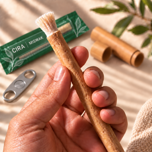 CIRA — Miswak stick in hand — en-miswak-2