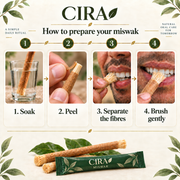 CIRA — Preparing a miswak for gentle brushing — en-miswak-4