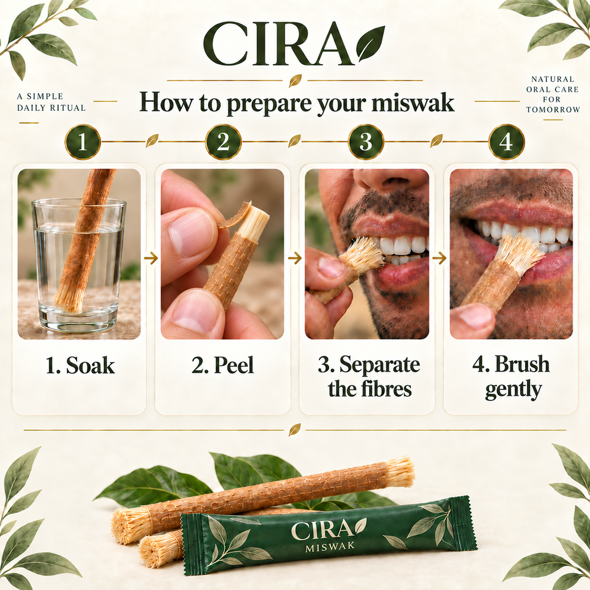 CIRA — Preparing a miswak for gentle brushing — en-miswak-4