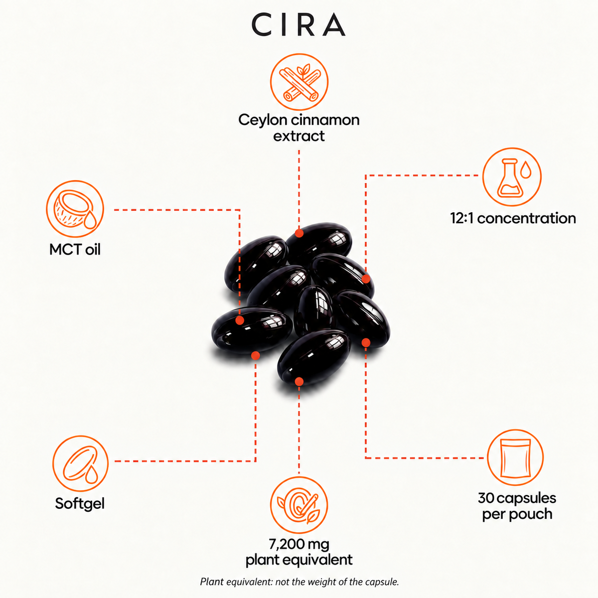 CIRA English transfer — 02-Cannelle-Ceylan — photo 3